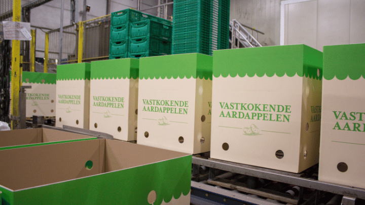 Schaap Holland palletdozen - verpakkingsgalerij