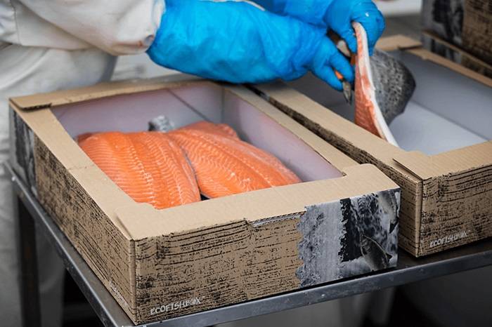 Visverpakkingen voorbeeld Ecofishbox