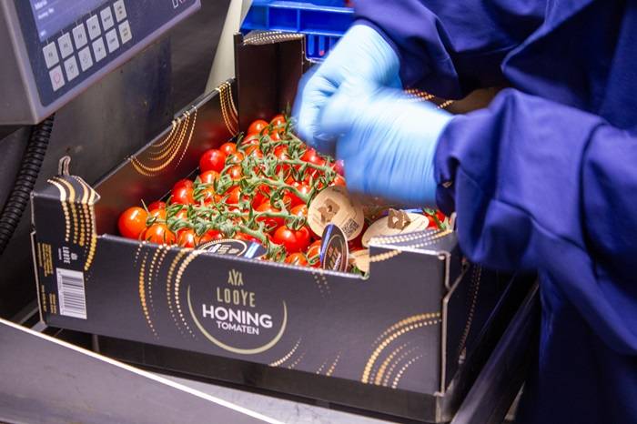 Looye maatwerk verpakkingen